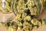 Bocal avec des têtes de cannabis CBD renversé sur une table