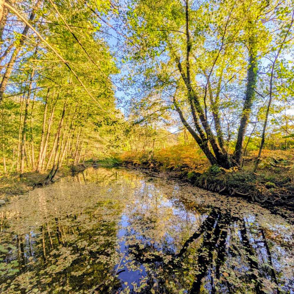 Automne et lône en Ardèche